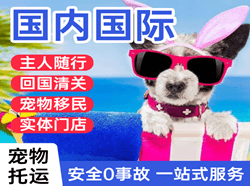 腾鳌空运公司国际宠物托运 【国